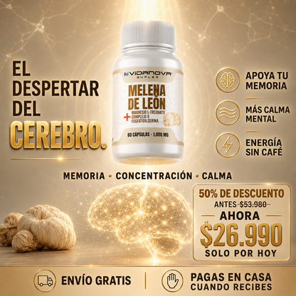 MindShield™ — Melena de León Fortificada 4 en 1