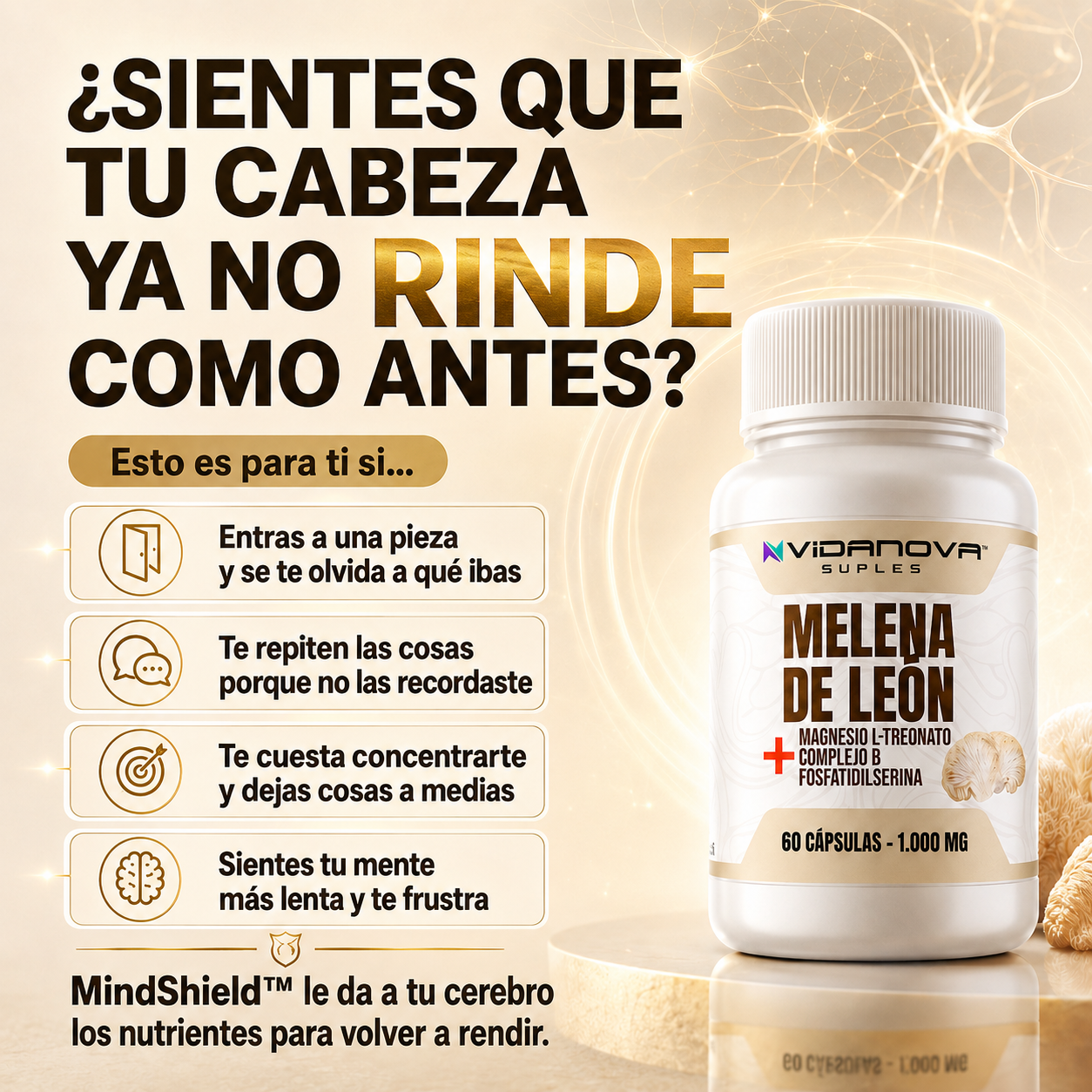 MindShield™ — Melena de León Fortificada 4 en 1