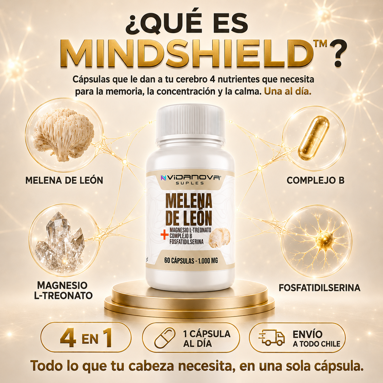 MindShield™ — Melena de León Fortificada 4 en 1