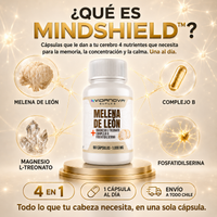 MindShield™ — Melena de León Fortificada 4 en 1