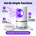 Así de simple funciona: la luz violeta los atrae, el ventilador los succiona y caen a la cesta
