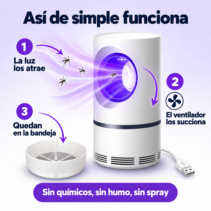 Así de simple funciona: la luz violeta los atrae, el ventilador los succiona y caen a la cesta