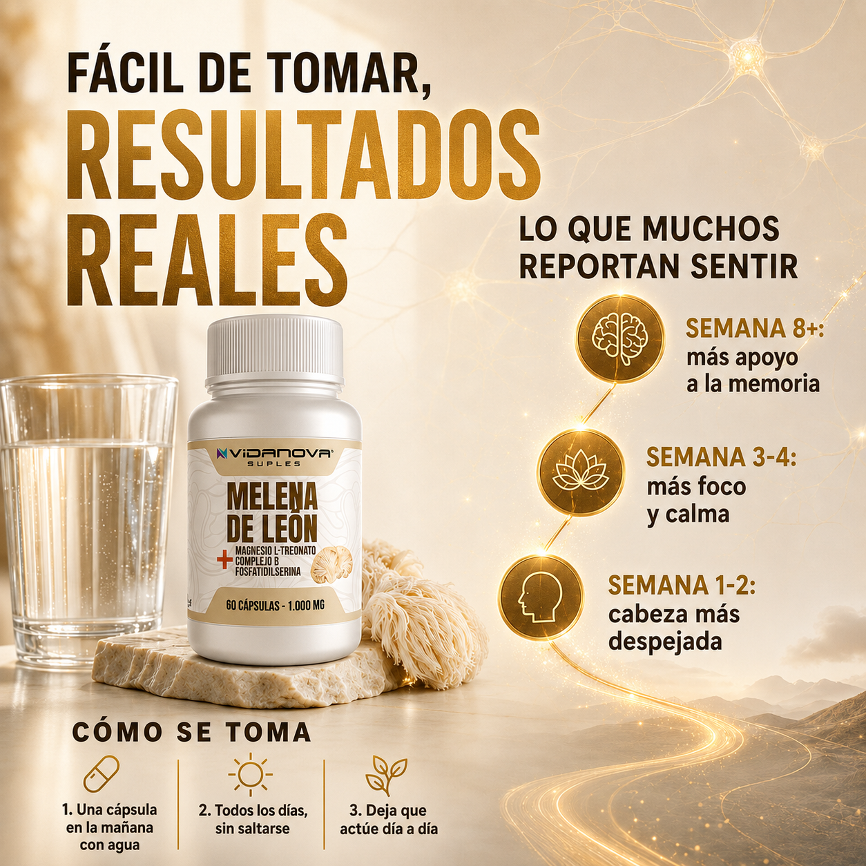 MindShield™ — Melena de León Fortificada 4 en 1