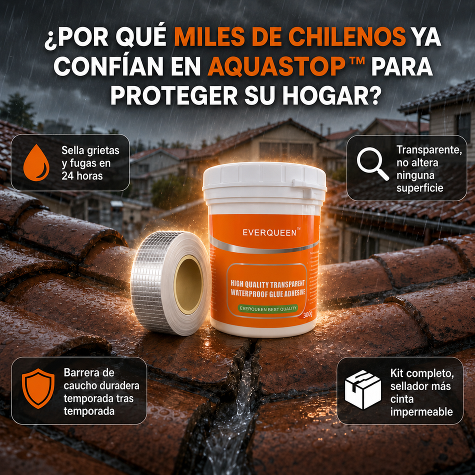 AquaStop™ — Kit Sellador Impermeabilizante Transparente 300g