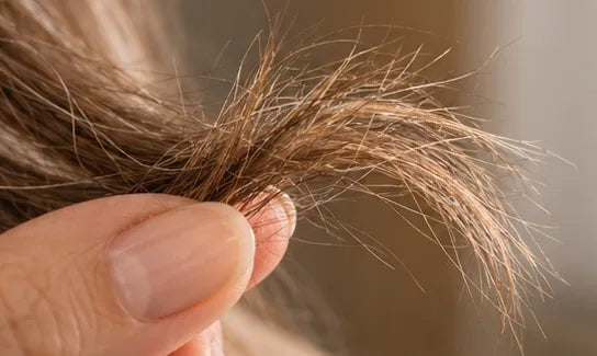 Primer plano de unas puntas de pelo abiertas
